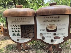 -北京西山国家森林公园