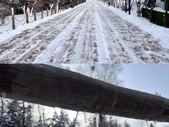 -青藏高原野生动物园