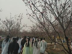 -古柏渡飞黄旅游区