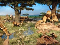 -国家自然博物馆