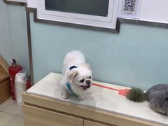 -宠福鑫康馨动物医院·骨科·眼科