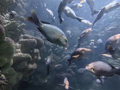-海合安青岛极地海洋公园