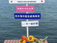 -悦海公园