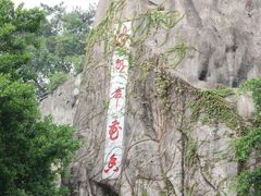 -金鸡山公园
