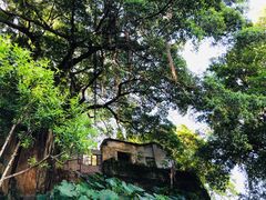 -乌山风景区