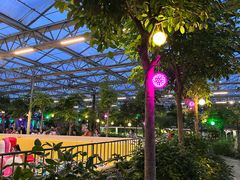 -南宫五洲植物乐园