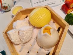 -蘩楼(南山南油店)