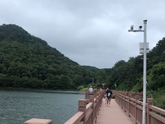 -桃花岭景区