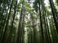 -山王坪喀斯特国家生态公园