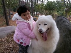 -骐奇宠物诊疗中心(南亭公路店)