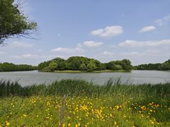 -苏州太湖国家湿地公园