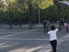 -北京园博大酒店