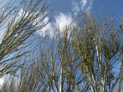 -鄂尔多斯野生动物园