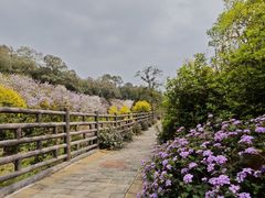 -广州莲花山旅游区