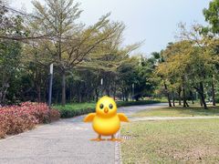 -深圳湾公园(南山区)