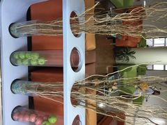 iphone_upload_pic-宁波大学附属第一医院(外滩院区)