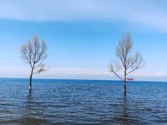 -青海湖国家重点风景名胜区