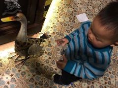 -楼兰新疆主题餐厅(苏州中心店)