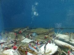 -赶海部落海鲜城(海阳路店)