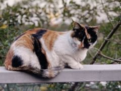 -BUND·FIVE外滩5号(天际店)