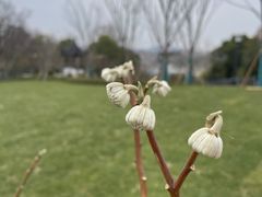 -幕燕滨江·长江观音景区