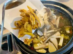 菌菇拼盘-蘑统田下·野生菌火锅