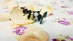 点击看大图 -威德钻石-克拉钻大本营(南京东路店)