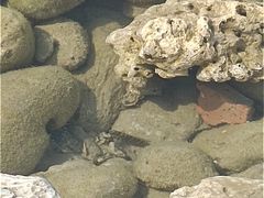 -三亚西岛海洋文化旅游区
