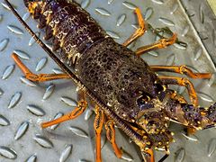 -海世船说·海鲜餐厅(南昌店)