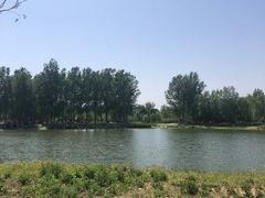 -东郊湿地公园