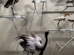 -中国湿地博物馆