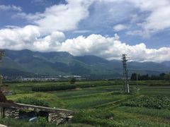 -才村湿地公园