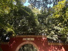 -灵谷景区