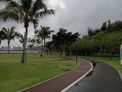 -野狸岛