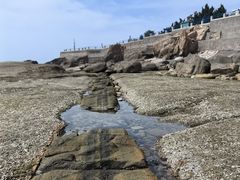 -燕儿岛山公园