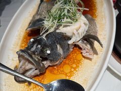 老虎斑-阿拉斯加·海货(马王堆店)