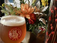 -Boxing Cat Brewery拳击猫精酿啤酒馆(永福店)