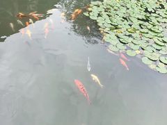 -天目湖山水园