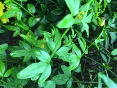 iphone_upload_pic-苏州吴宫泛太平洋酒店