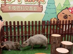 -万泰汇购物中心