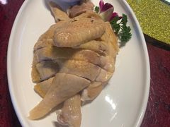 三黄鸡-碧丽宫大酒店(召稼楼店)