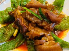 牛蹄筋-巴依老爷新疆美食(望京小街店)