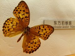 -青藏高原自然博物馆