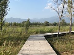 -野鸭湖国家湿地公园