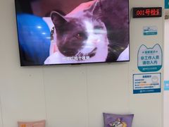 -美联众合动物医院·24h京西诊疗中心