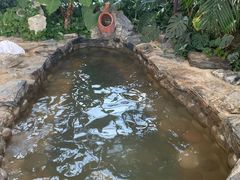 -中家鑫园温泉酒店鑫悦汤泉