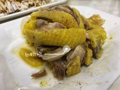 招牌的那个鸡-阿水土鸡(远光店)