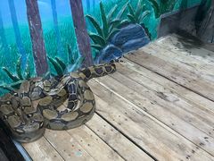 -石家庄市动物园