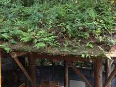 -亦缘居私家别院