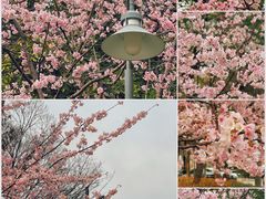 -静安雕塑公园
